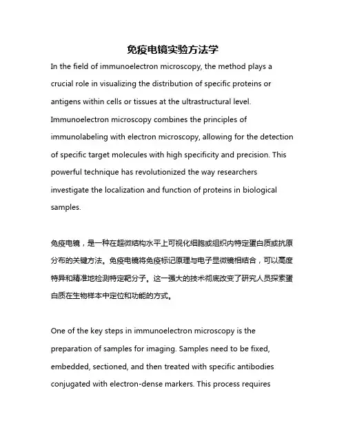 免疫电镜实验方法学