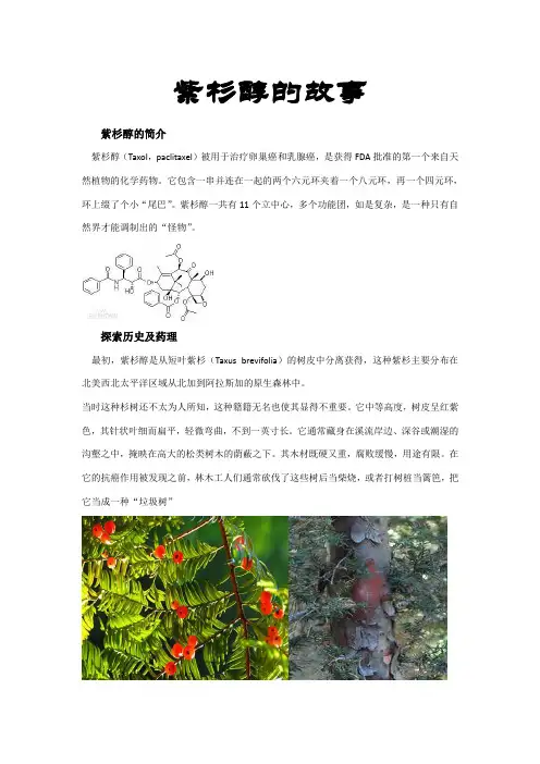 紫杉醇的故事
