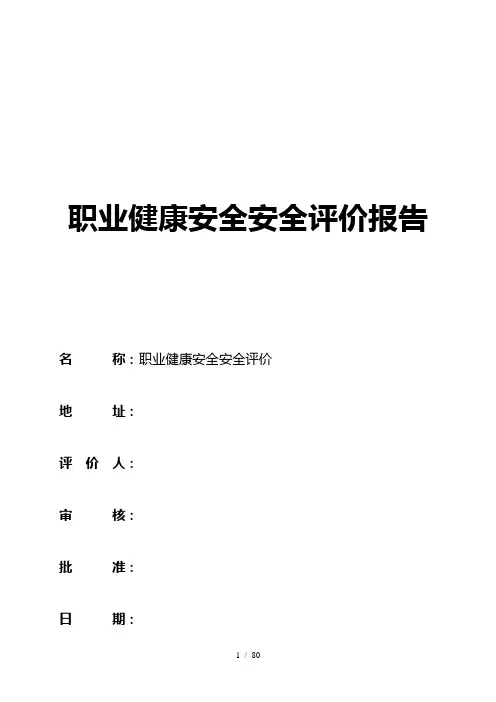 职业健康安全安全评价报告