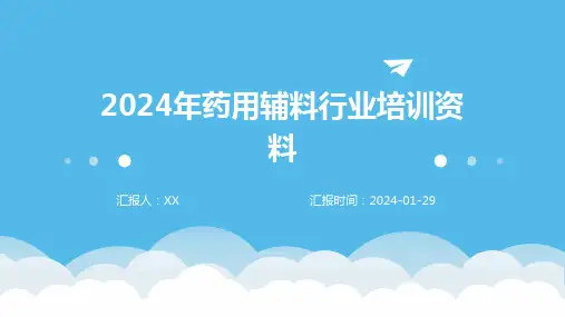 2024年药用辅料行业培训资料