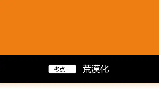荒漠化与水土流失