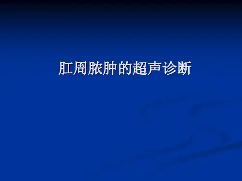 肛周脓肿超声诊断
