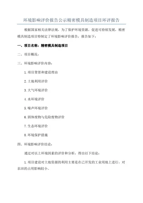环境影响评价报告公示精密模具制造项目环评报告