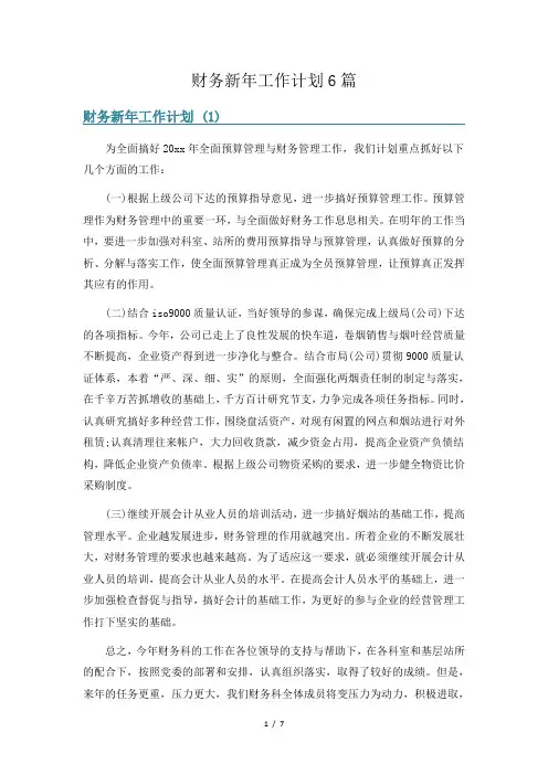 财务新年工作计划6篇