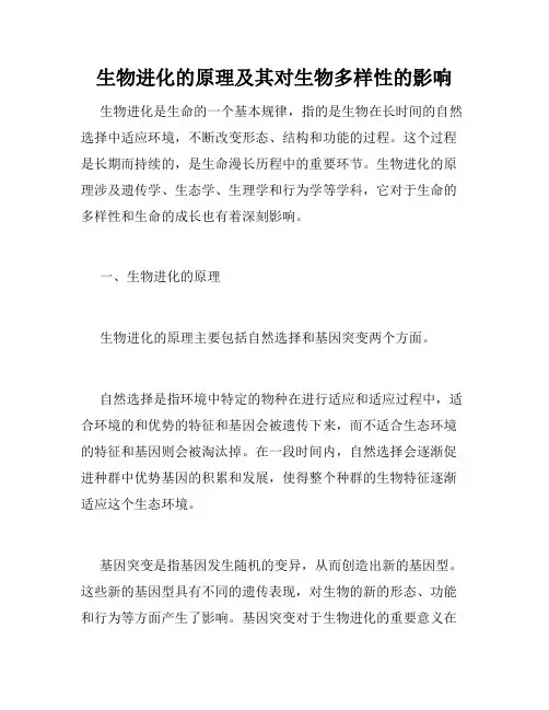 生物进化的原理及其对生物多样性的影响