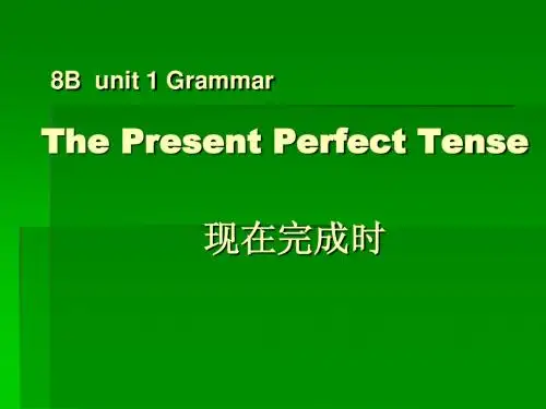 8b Unit 1 grammar