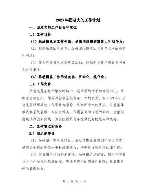 2023年团总支的工作计划