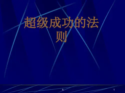 [管理学]超级成功法则