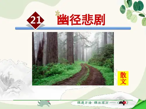 《幽径悲剧》PPT教学课件