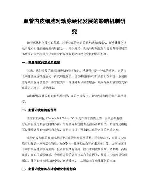 血管内皮细胞对动脉硬化发展的影响机制研究
