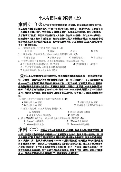 个人与团队案例分析