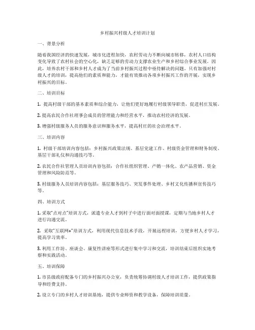 乡村振兴村级人才培训计划