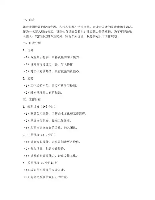 入职的工作规划