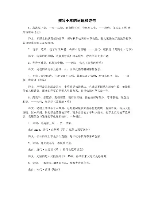 描写小草的词语和诗句