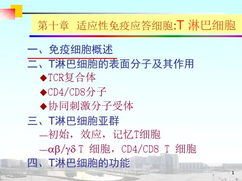 医学免疫学：适应性免疫应答细胞T淋巴细胞