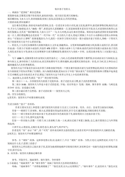 装在套子里的人