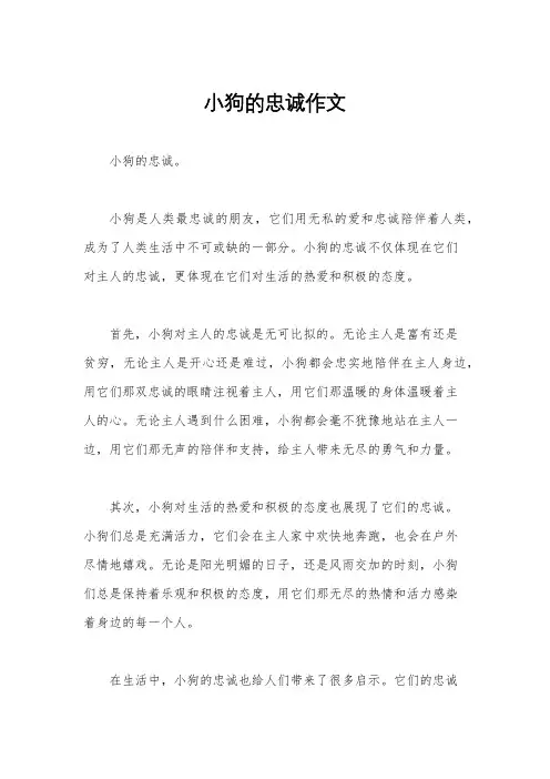 小狗的忠诚作文