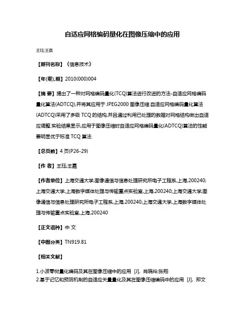 自适应网格编码量化在图像压缩中的应用