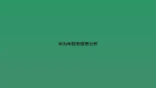 华为年财务报表分析