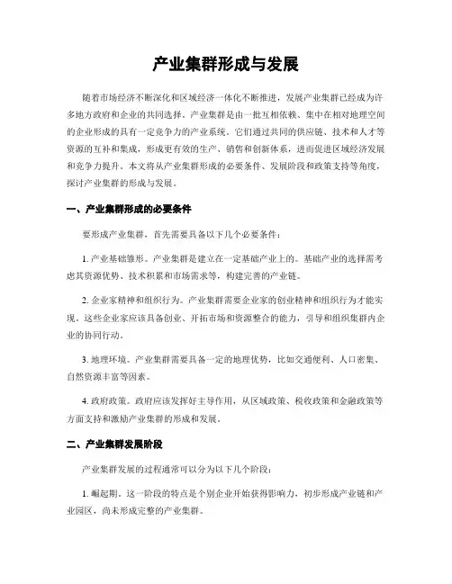 产业集群形成与发展