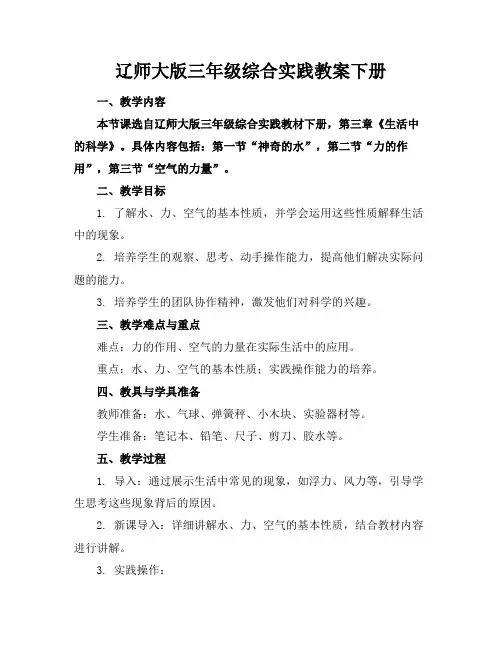 辽师大版三年级综合实践教案下册