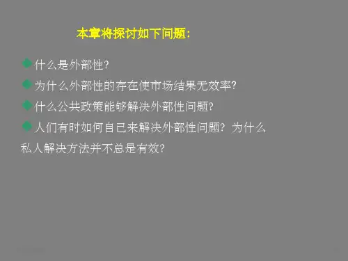 外部性的例子ppt课件