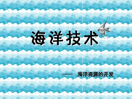 海洋技术介绍.ppt