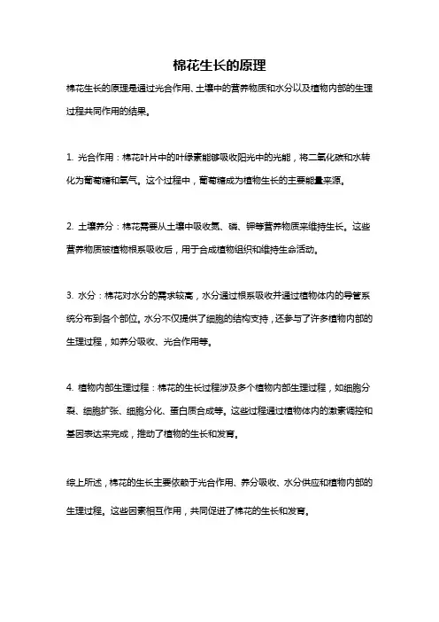 棉花生长的原理