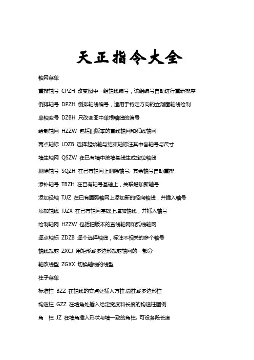 天正快捷指令大全