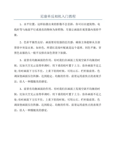 尼康单反相机入门教程