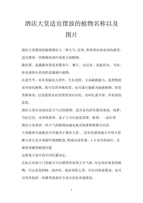 酒店大堂适宜摆放的植物名称以及图片