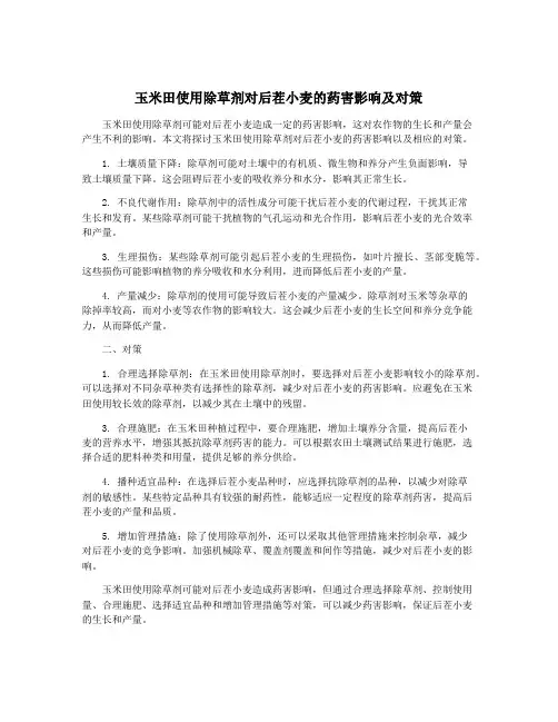 玉米田使用除草剂对后茬小麦的药害影响及对策