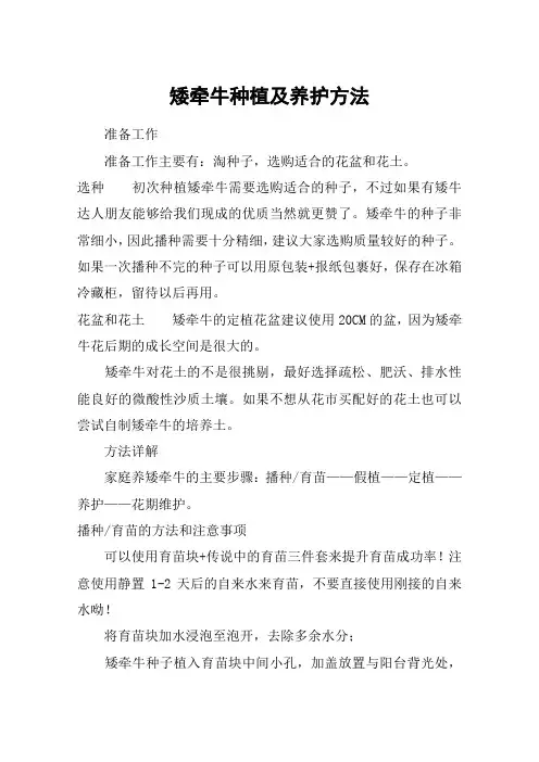 矮牵牛种植及养护方法