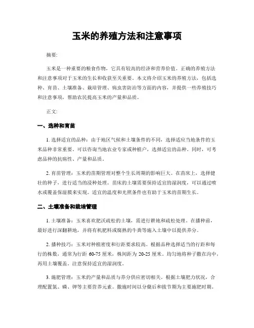 玉米的养殖方法和注意事项
