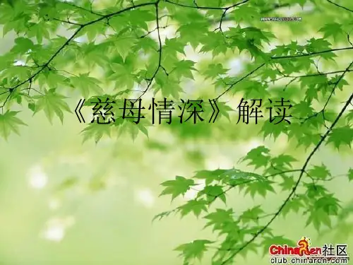 《慈母情深》解读