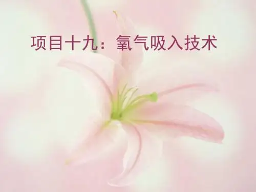 氧气吸入技术PPT课件
