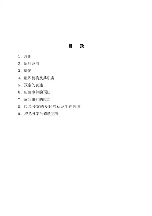 锅炉灭火打炮事故应急预案