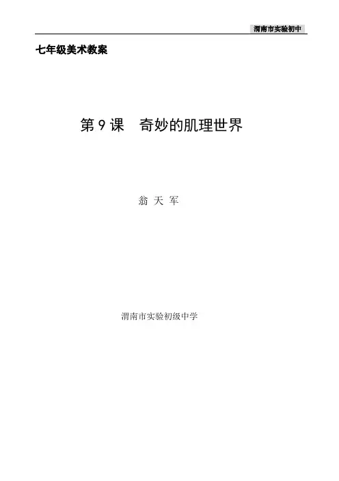 苏教美术七年级美术第9课奇妙的肌理世界