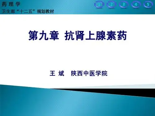 9 - 抗肾上腺素药