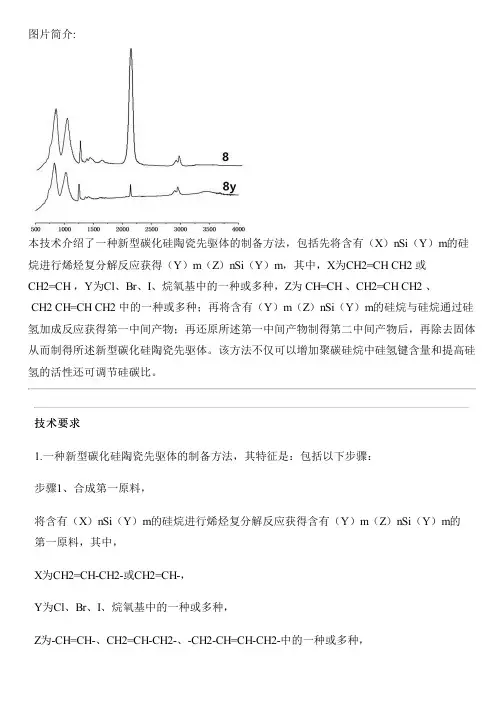 新型碳化硅陶瓷先驱体的设备制作方法与制作流程