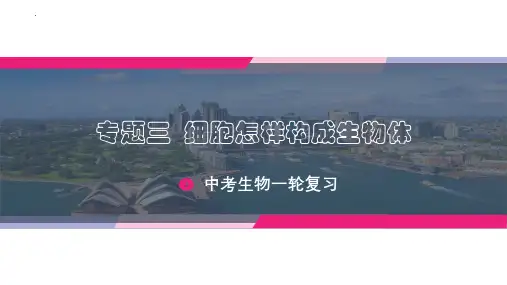 专题03 细胞怎样构成生物体