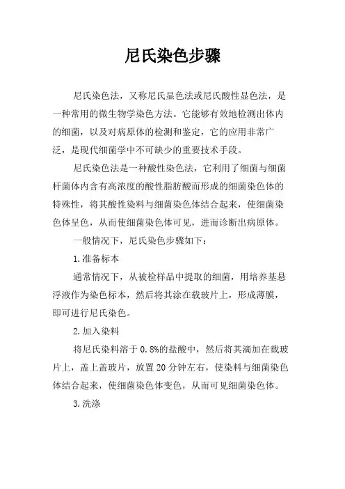 尼氏染色步骤