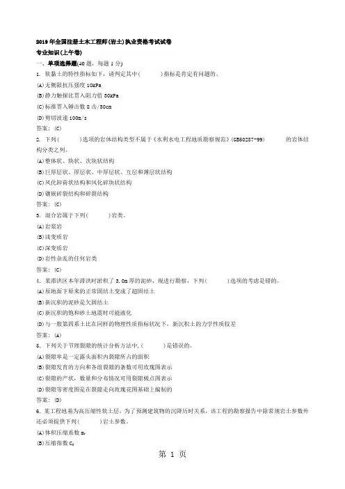 2019年注册岩土工程师专业考试真题及讲解63页word