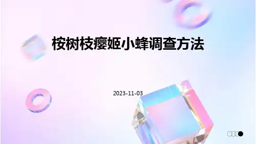 桉树枝瘿姬小蜂调查方法