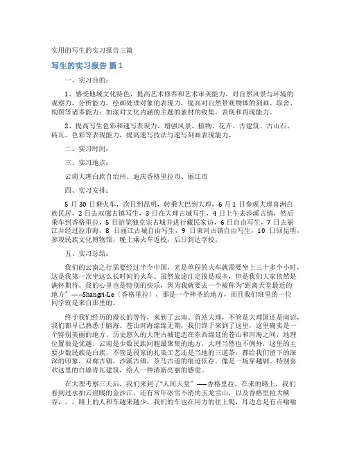 写生的实习报告