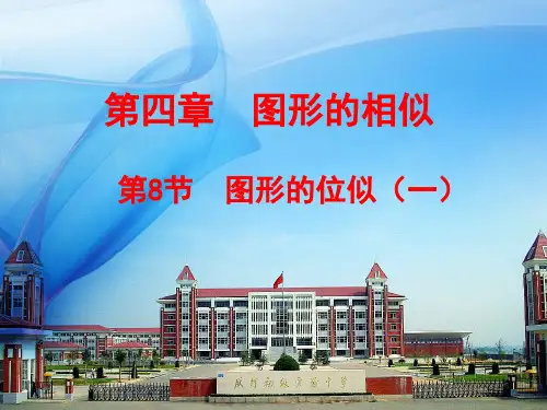北师大版九年级上册图形的位似课件