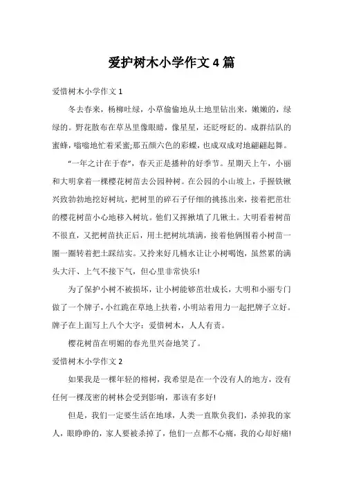 爱护树木小学作文4篇
