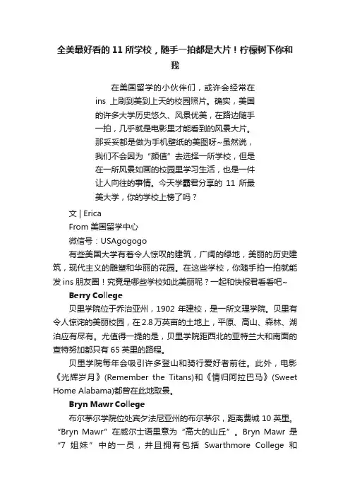 全美最好看的11所学校，随手一拍都是大片！柠檬树下你和我