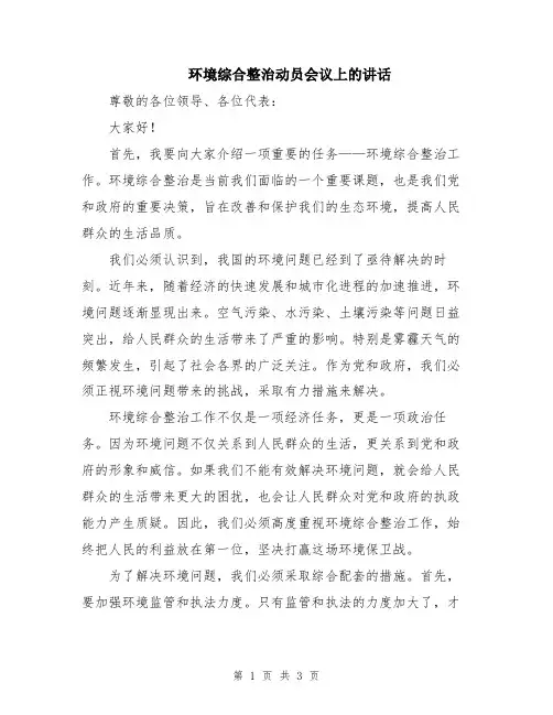 环境综合整治动员会议上的讲话