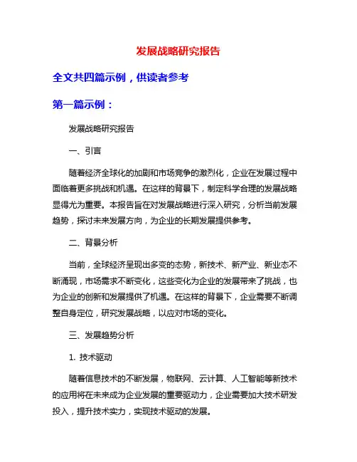 发展战略研究报告